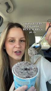 Ice Cream Sammy Ben Jerrys