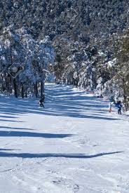 Las primeras nieves están cayendo en la sierra madrileña. Nieve En Navacerrada Madrid Espana Fotos Retratos Imagenes Y Fotografia De Archivo Libres De Derecho Image 24935449