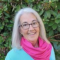 The House of Eternal Rain by Evan Allison