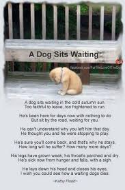 A Waiting Dog Dies Dogs Dog Quotes Animals
