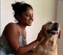 Beagle dogs for sale in sri lanka. Dog Walking In Sri Lanka Insured On Petbacker