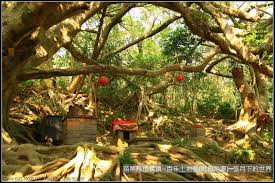 The site owner hides the web page description. è‹—æ —ç¸£å¾Œé¾éŽ®ç™¾å¹´åœŸåœ°å…¬ é™„æŒ‡ç¤ºåœ– å¼¦æœˆä¸‹çš„ä¸–ç•Œ ç—žå®¢é‚¦