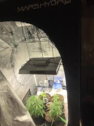 I still have a ton of the soil and amendments left over that i'll cook up later for the next round of seeds i plant. Loving My Mars Hydro Tsw 2000 Light And 3x3 Tent Growingmarijuana