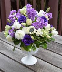 We did not find results for: 900 Arrangement Ideas Arrangement Flower Arrangements Floral Arrangements