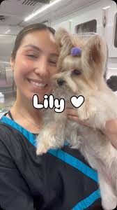 Let’s groom sweet Lily 🌸 she’s a little nervous but does so well