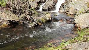 Upload, livestream, and create your own videos, all in hd. Paesaggio Naturale Soleggiato Durante L Estate 1623013 Clip Video Hd E Filmati Di Repertorio Gratuiti