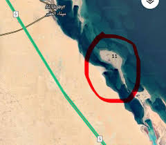 Image result for Halopyrum mucronatum