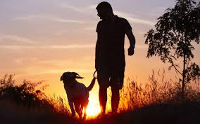 Ne punem din ce în ce mai multe întrebări atunci când. De Ce Este Cainele Cel Mai Bun Prieten Al Omului