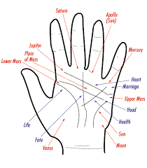 This line begins just above the life line (the 3rd main line) and has a starting place that is somewhere between the thumb and the middle finger. Palmistry