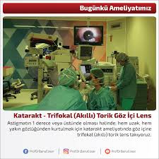Astigmatin 1 Derece Veya Ustunde Olmasi Halinde Hem Uzak Hem Yakin Gozlugunden Kurtulmak Icin Katarakt Ameliyatinda Goz Icine Trifokal Akil Ordu Ikiz Tintin