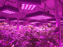 Kingbo is probably one of the cheapest led grow light brand at the moment and many people are wondering wether it is worth paying extra money despite the price, the last kingbo led review 300w double switch comes with all the required features that any user would expect from a grow. Led Grow Light 300w 1200w 3w Chips Full Spectrum Led Grow Lights With 2 Years Ll Glm 600w B Lowcled China Manufacturer Led Lighting