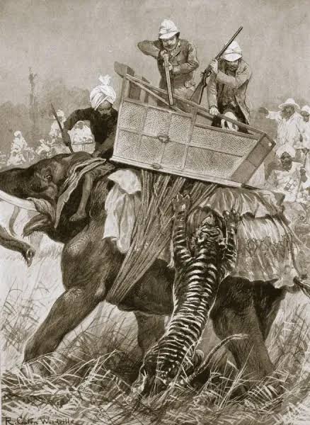 Print of the Prince of Wales on a tiger hunt in India, 1876
