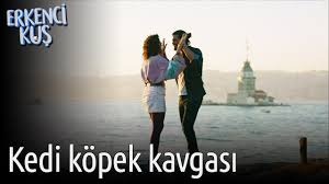 Erkenci Kus Kedi Kopek Kavgasi Youtube