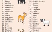 Look up carnivore in the dictionary, look up all animals individually, make list of those that comply with definition please read! 10 Herbivorous Animals Name List English Vocabs