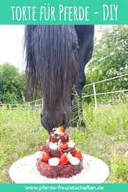 Noch mehr pferdedeko für kuchen. Dein Pferd Hat Geburtstag Und Du Mochtest Ihm An Diesem Tag Eine Besondere Freude Bereiten Wie War S Mit Einer Leckeren Ge Pferde Kuchen Pferde Pferdekuchen