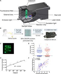 Testungen und quarantäne (aktuelle seite). A Smartphone Read Ultrasensitive And Quantitative Saliva Test For Covid 19 Science Advances