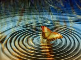 Collage Anillos Mariposa El - Imagen gratis en Pixabay