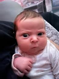 Zach Collaros balances football and family life