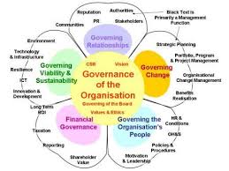 Petal Diagram Governance Conceptual Framework Management Change Management