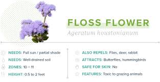 Some of the prettiest mosquito repellent flowers. 15 Plants That Repel Mosquitoes Proflowers