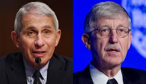Fauci, Collins Urge Prevention As Vaccine Plans Advance