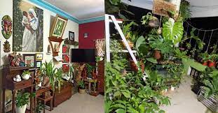 Your neighbors will be staring (in a good way!) when you add unique yard art, ornaments and other cute garden decorations like these to your property. Home Turns Indoor Garden When Art Meets Hundreds Of Exotic Plants In Kochi Lifestyle Decor English Manorama