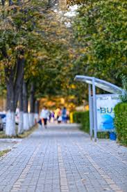 Search results (in all languages) language: Autumn In Romania Small Town Fetesti Pyrography By Alexandru Holban