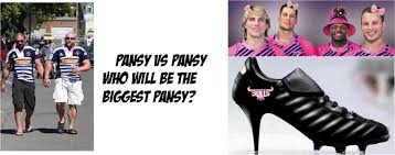 More men than women surf, boogie. Funny Quotes About Bull Quotesgram