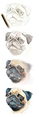 Hond In Stappen Tekenen Dieren Tekenen Hond Tekeningen Hondentekening