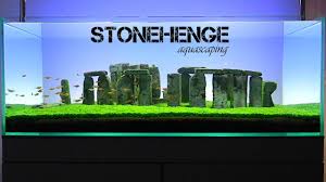 The stonehenge landscape is a property of the national trust, located on salisbury plain in wiltshire, england. Aquascaping Stonehenge Youtube