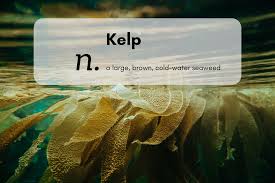 Healthy meaning · 10 english words you're (probably) mispronouncing! 60 Words That Start With K For Those Keen On Language Thought Catalog