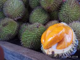 Synonyms arabic german english spanish french hebrew italian japanese dutch polish portuguese romanian russian turkish chinese. Mantugaul On Twitter Buah Lai Atau Kawai Sepupunya Durian