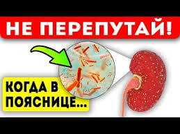как избавиться от боли в пояснице в домашних условиях Pin Na Doske Chelovecheskij Organizm