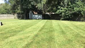 Check spelling or type a new query. Clean Cut Lawn Care Llc Lawn Care Service In Yorktown