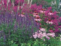We did not find results for: Apa Nama Bunga Pink Warna Merah Muda Apa Yang Harus Dipilih Untuk Taman Warna Warna Pink Nilai Dan Simbol