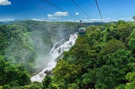 Lake mckenzie, lake boomanjin) verschiedenen typs, die ein extrem sauberes und klares wasser aufweisen.bei teilen der seen handelt es sich um solche in einer schicht aus schwebendem grundwasser: Tagesausflug Von Port Douglas Zur Skyrail Regenwald Gondel 2021 Tiefpreisgarantie