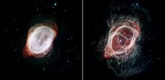 Image result for Searsia nebulosa