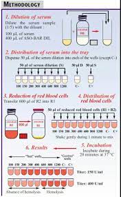 Pin By Shayma Biologist On Medical Laboratory Medical Laboratory Pathology Laboratory