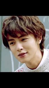 Darren Meechan Conservatory Roof