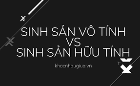Maybe you would like to learn more about one of these? So Sanh Sinh Sáº£n Vo Tinh Va Sinh Sáº£n Há»¯u Tinh Khacnhaugiua Vn