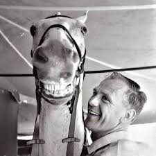 A kind man gave his last $80 to save a plow horse but they wrote history  together. Harry Deleyer and Snowman, an old Amish plow horse, were united  when Harry rescued Snowman