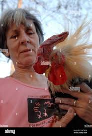 Hurricane wilma hi-res stock photography and images