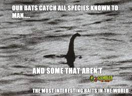 Most Interesting Baits In The World Fishing Memes Memes Species