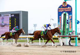 Japanese dictionary search results for じしょ. åœ°æ–¹ç«¶é¦¬ ãƒ¯ã‚¤ãƒ‰ãƒ•ã‚¡ãƒ©ã‚ªãŒã‹ã—ã‚è¨˜å¿µï½– ï½Šï½'ï½æœ€ä½Žäººæ°—ãŒé€ƒã'åˆ‡ã‚Š ç«¶é¦¬ãƒ‹ãƒ¥ãƒ¼ã‚¹ Netkeiba Com