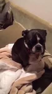 1,572 likes · 5 talking about this · 111 were here. Whole Pet Veterinary Clinic Home Facebook