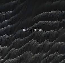 Daniel Brush