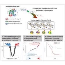 Pre Existing Functional Heterogeneity Of Tumorigenic