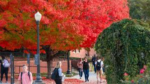 Fall of 2022 President's List | Clemson News