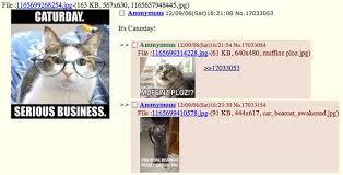 Here are some cat memes so how is your caturday going? Caturday Know Your Meme