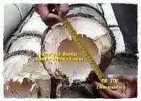 Maybe you would like to learn more about one of these? Jenis Jenis Bambu 1 Bambu Wulung Galeri Bambu S Timu Facebook